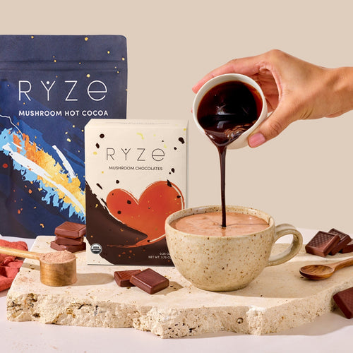Chocolate Indulgence Bundle - Clean Bundle