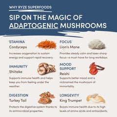RYZE Nighttime Mushroom Cocoa Starter Bag - Light Storage