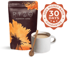 Chai Free Gift Bundle - Daily Set