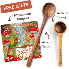Chai Free Gift Bundle - Daily Set