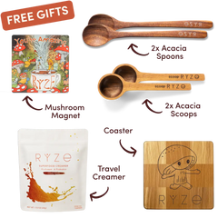 Chai Free Gift Bundle - Daily Set