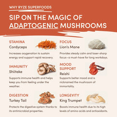 Superfood Creamer Add-on (SPECIAL PRICING) - Active Ready
