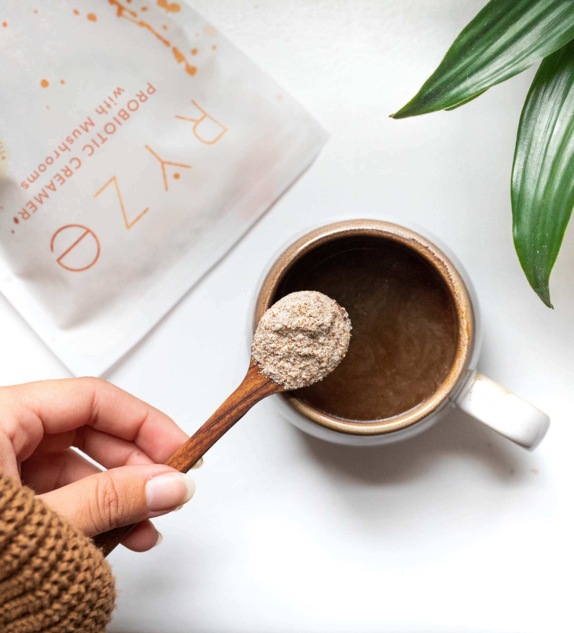 Creamer: 30 Servings - Classic Pick