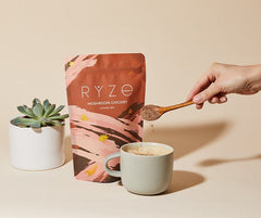 RYZE Chicory Blend (30 Servings) - Modern Ready