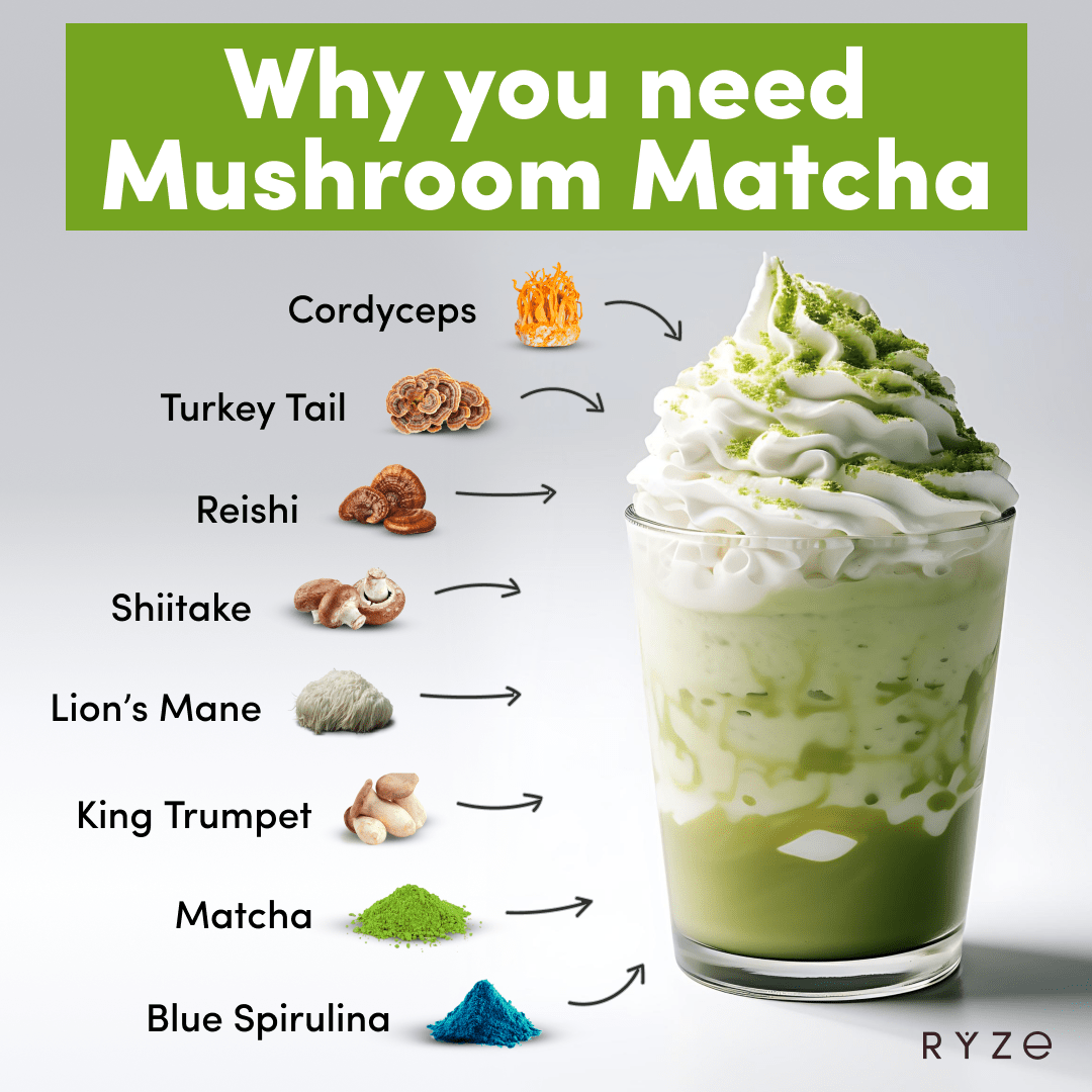 RYZE Matcha - with 6 Organic Adaptogenic Mushrooms Grown In USA and Ceremonial-Grade Japanese Matcha - Clean Bundle
