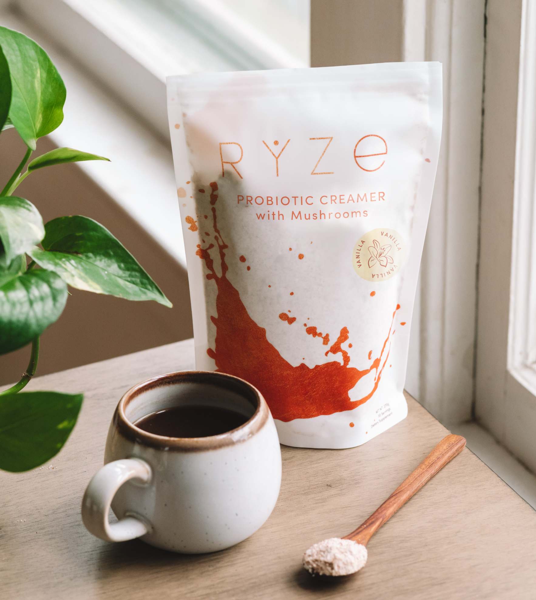 Try our Creamer for 50% OFF! - Easy Choice